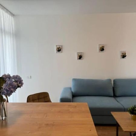 Joy City Stay Vivalia 7B-25 Timisoara Bagian luar foto