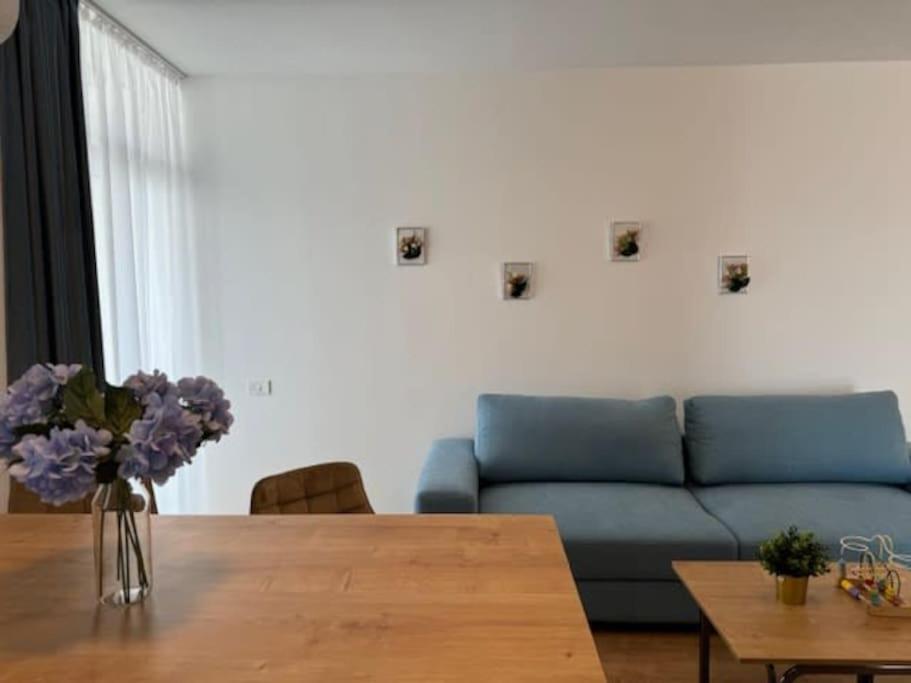 Joy City Stay Vivalia 7B-25 Timisoara Bagian luar foto